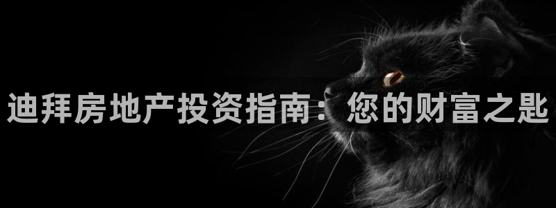 j9九游国际真人游戏第一品牌